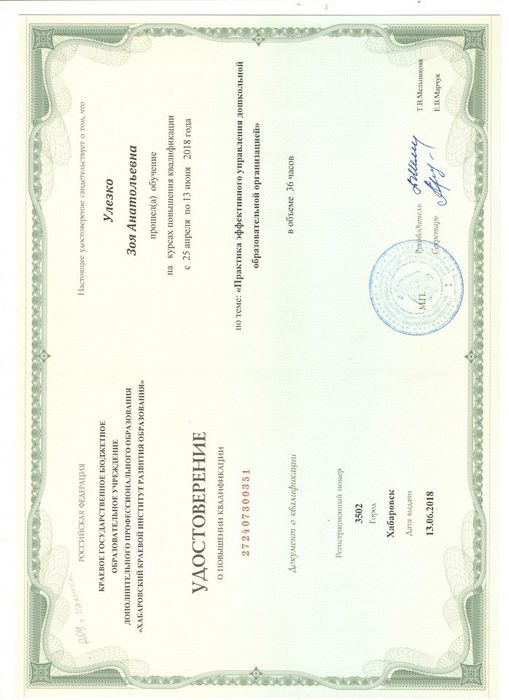 сертификат вип курсы 001